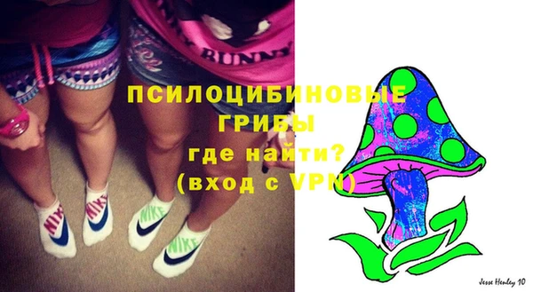 дживик Зеленокумск